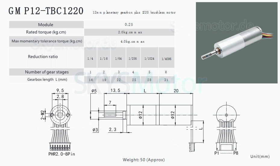 2 Stück Φ12mm 6V/12V Bürstenloser Eisenlose Motoren GMP12-TBC1220 mit Planetengetriebe Wellendurchmesser 3mm